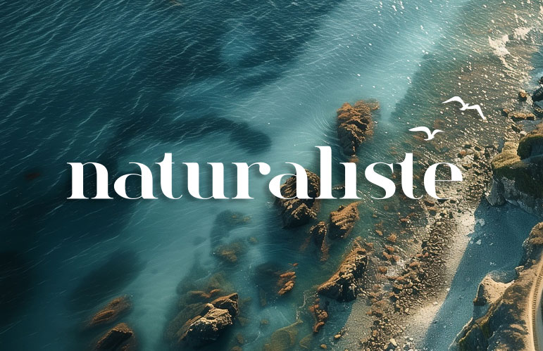 Naturaliste